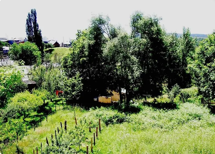 **** El Barreiro. Ideal Familias. 別荘